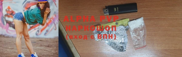стаф Володарск