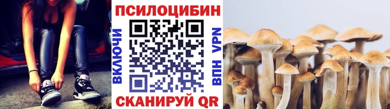 Галлюциногенные грибы Psilocybe  Мурманск 
