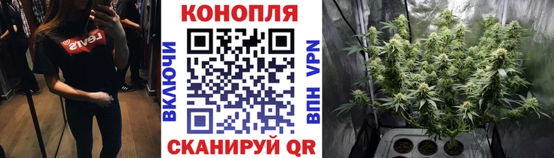 Марихуана VHQ  OMG как войти  Мурманск  где найти  